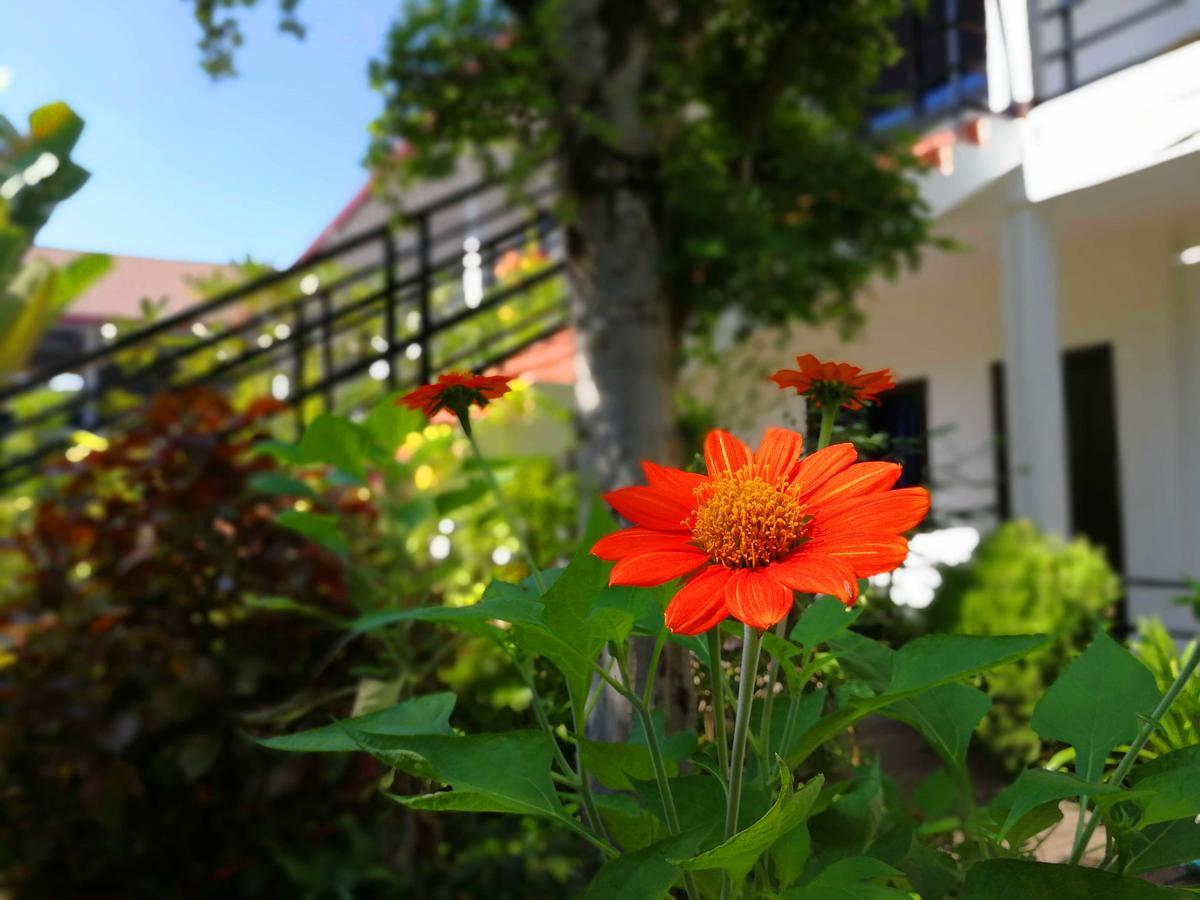 Angkor Hotel Σιέμ Ρέαπ Εξωτερικό φωτογραφία